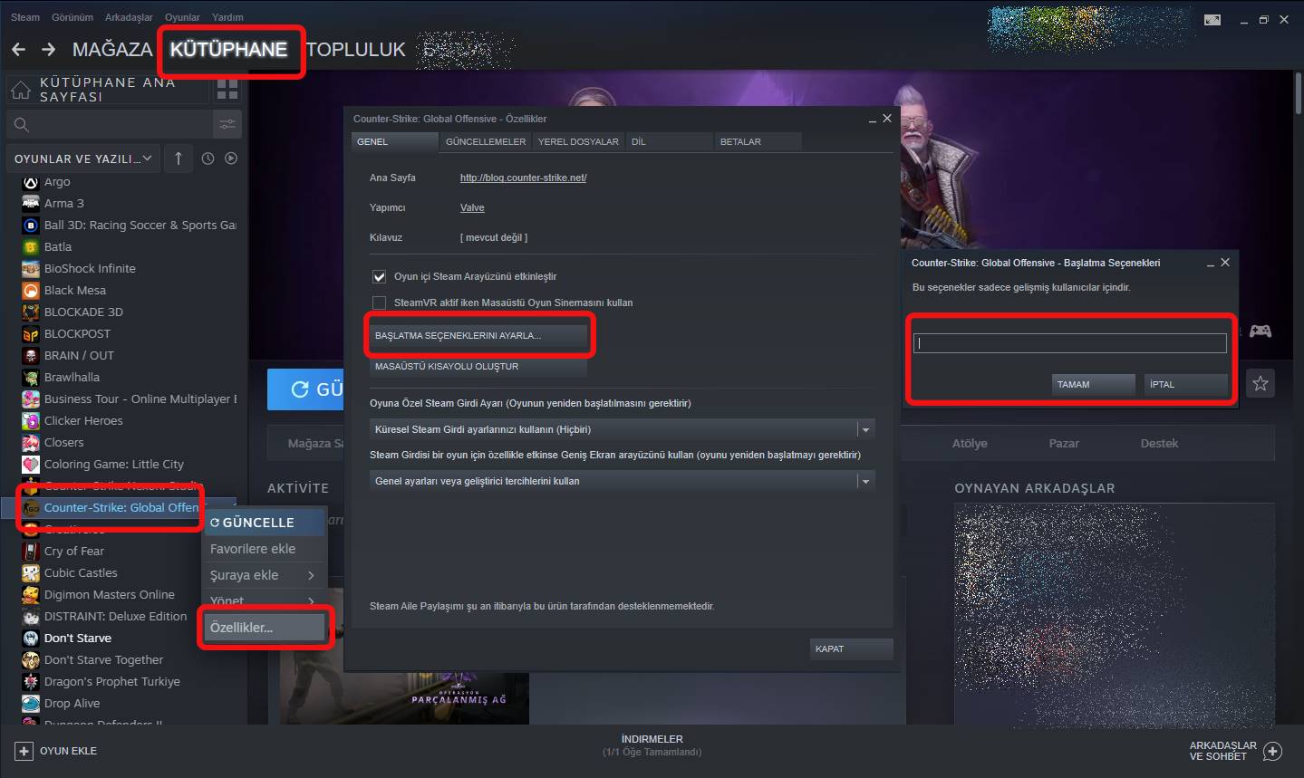 CS:GO başlatma seçeneklerini açma