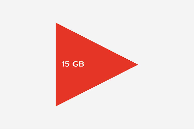 Selfy Dijital Large Paketi