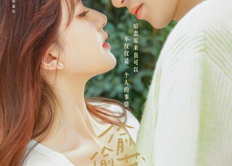 Hidden Love (2023) Çin Dizisi Hakkında Bir İnceleme
